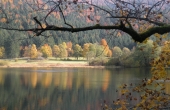 DSCN1225