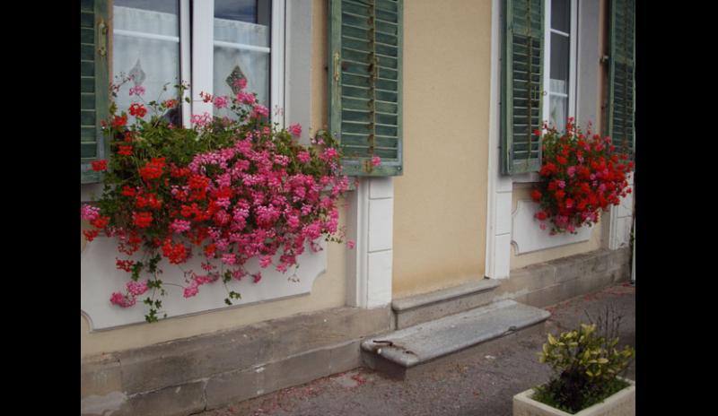 location-vacances-appartement-vosges-granges-sur-vologne-gs029-a990d-114368