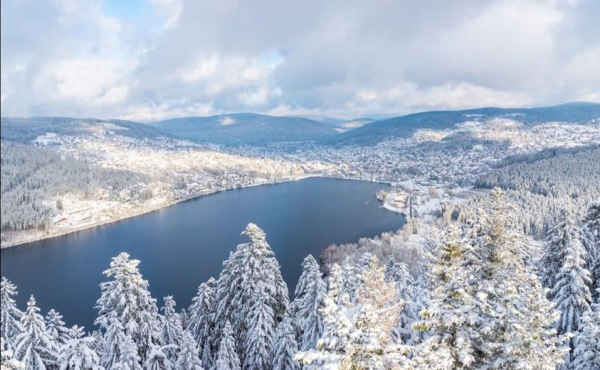 407820940_10223011165097497_1074148299921185751_n