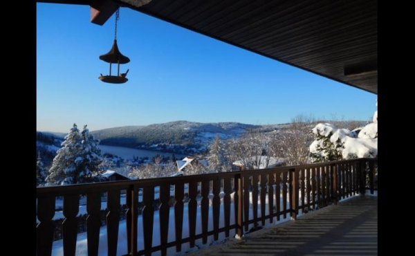 location-vacances-chalet-gerardmer-vosges-gi002-528050