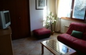 sallon-mini