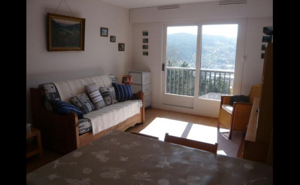 location-vacances-studio-vosges-gerardmer-g0014-394593