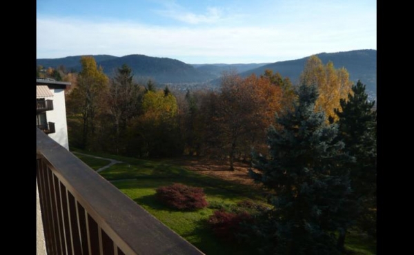 location-vacances-studio-vosges-gerardmer-g0014-394594
