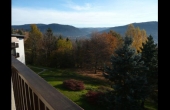 location-vacances-studio-vosges-gerardmer-g0014-394594