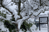 hiver