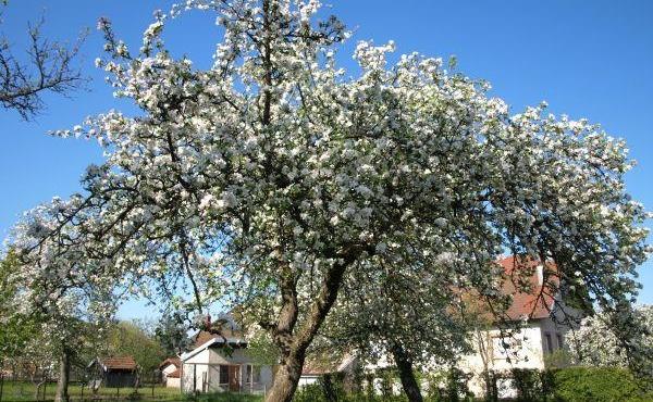 265838-11_H88G001881_57a1ba8da1d16