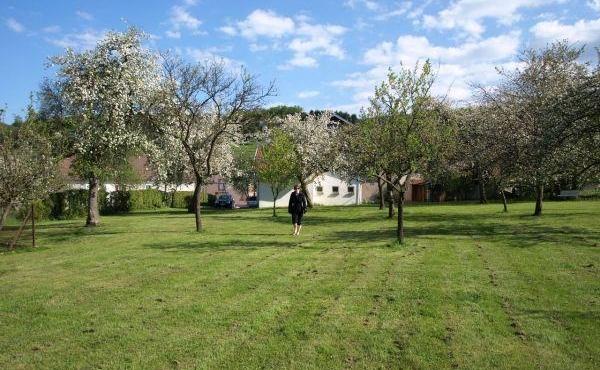 265838-12_H88G001881_57a1ba8dafc4c