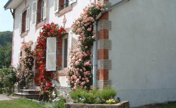 265838-7_H88G001881_57a1ba8d6a46b