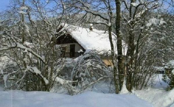 6c5e1cbe-8ac2-4726-a91a-145559779bee.f10