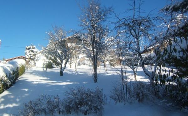 265684-25_H88G001535_5c5ddccc94af8