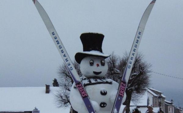 265684-29_H88G001535_5c5ddd077820e