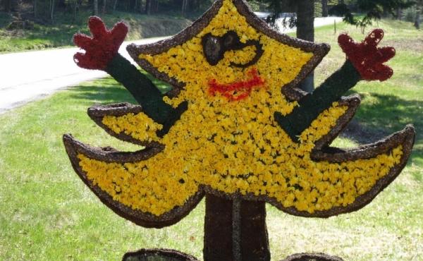 265684-30_H88G001535_5c5ddd15e6ee1