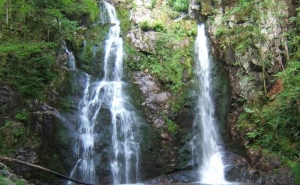 265684-31_H88G001535_5c5ddd1f41c80