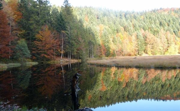 265684-34_H88G001535_5c5ddd832b51e