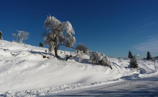 265684-35_H88G001535_5c5ddda4a9744