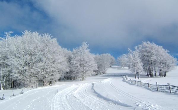 265684-36_H88G001535_5c5dddad0ed58