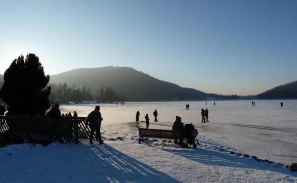 265684-37_H88G001535_5c5dddcebe9dc