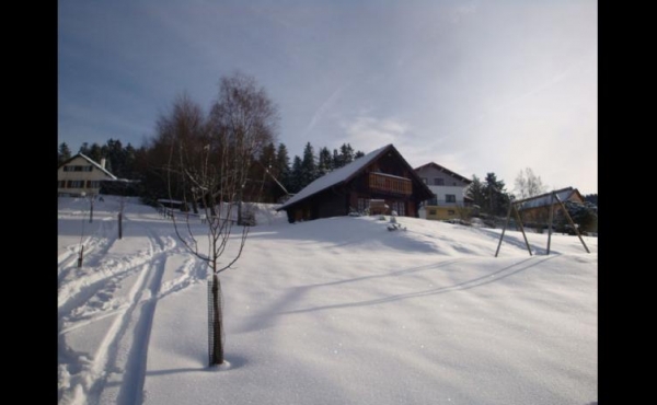 location-vacances-chalet-vosges-xonrupt-longemer-gm028-243209
