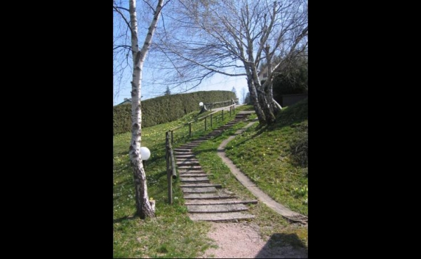 location-vacances-chalet-vosges-xonrupt-longemer-gm028-316358