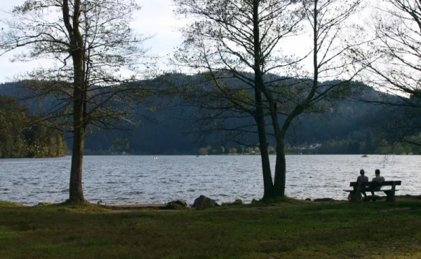 23pq0als3r8elle0k6fq93e4yyc2odi56bdqqkasg