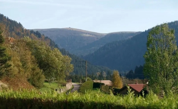 25y52vkkft8cujc9nsfsbgtiw15g49trpefae0ikg