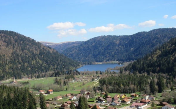 64555fbc-9c97-4671-9775-f3dccf649e0d.f10