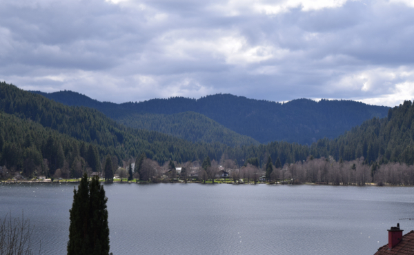 DSC_0106