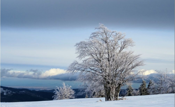 Les Vosges en hiver