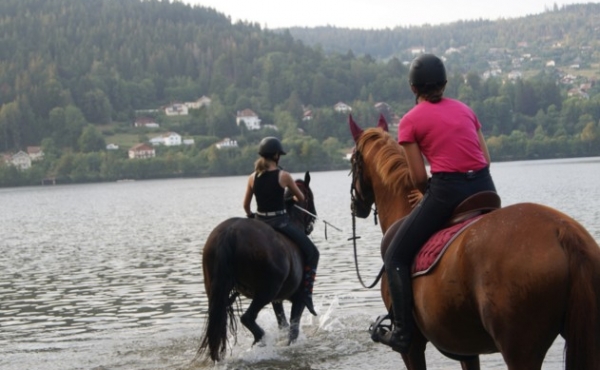 equitation