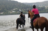 equitation