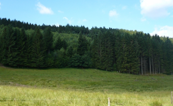 P1010866